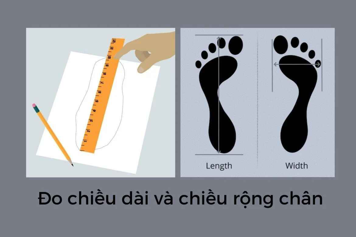 do-chieu-dai-va-rong-chan